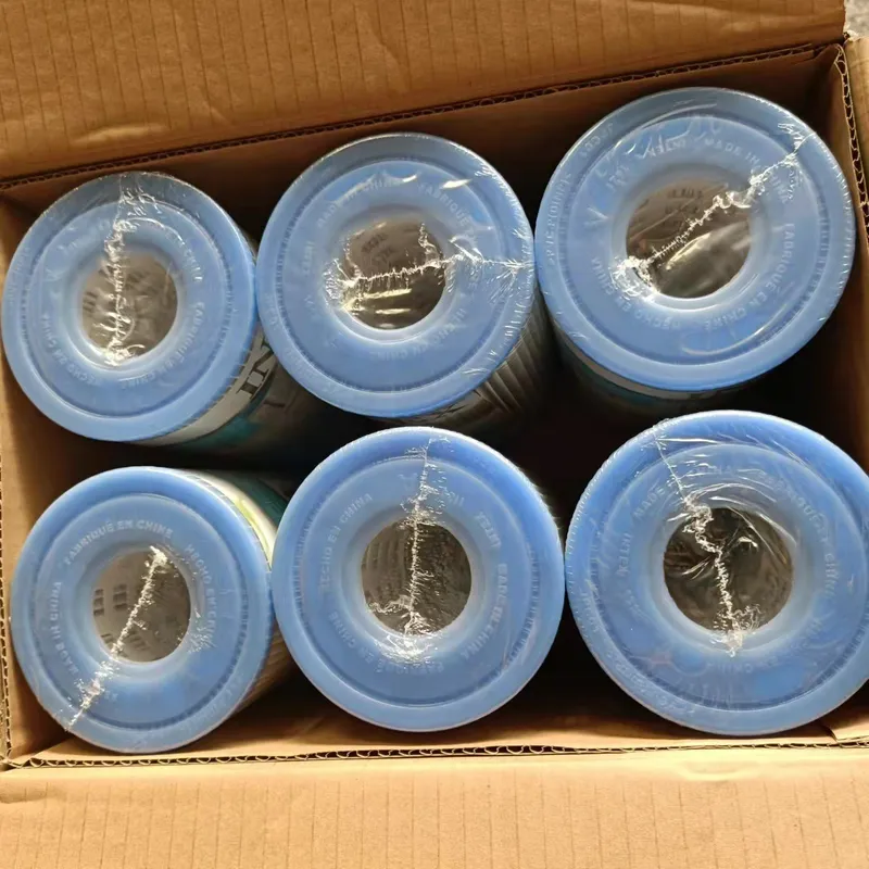Pompe de filtration pour pisci - Water Filter Cartridge avis et prix